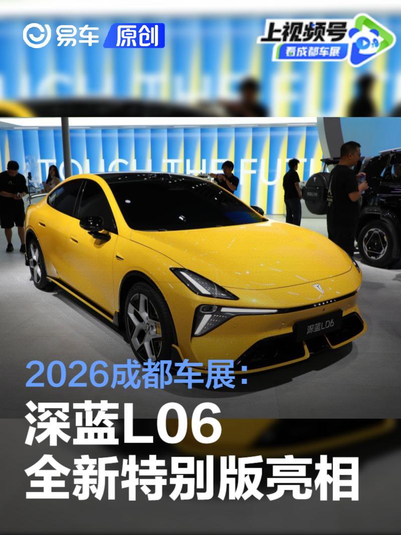 深蓝L06特别版车尾碳纤维尾翼